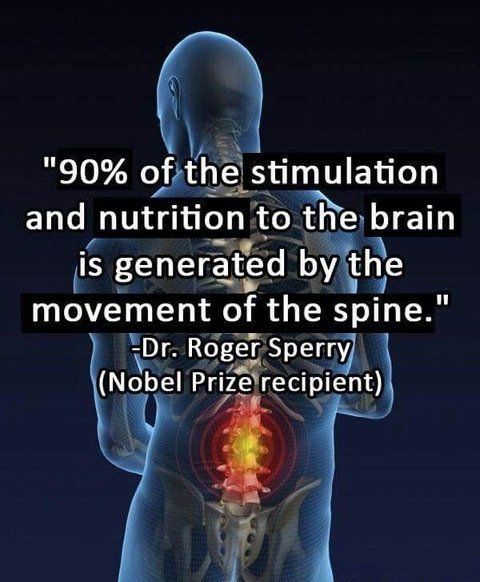 Spine illustration with a quote attributed to Dr. Roger Sperry: "90% of the stimulation and nutrition to the brain is generated by the movement of the spine."