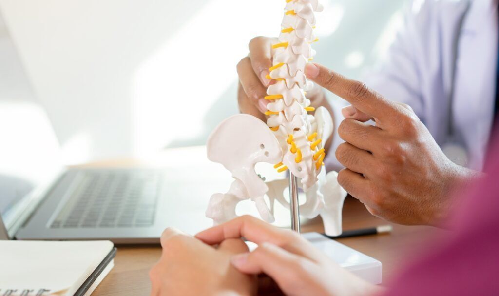 Practitioner explaining the lumbar spine using an anatomical model